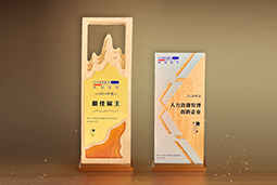 kdpay钱包国际一举斩获“2024年度中国区最佳雇主”等多项大奖